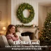 Christmas Decoration, 36 in Pre-Lit Norfolk Pine Artificial Christmas Wreath with 100 LED Lights, Green