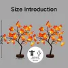 2 Pack Artificial Autumn Maple Tree with 24 LED Lights, Battery/USB Powered Thanksgiving Table Lamp, Fall Harvest Home Decor for Wedding