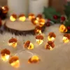Decorative Fairy Acorn String Lights Thanksgiving Decoration Autumn Garland Cute Novelty Lights 30 LEDs 10 ft Battery Operated for Bedroom