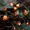 Decorative Fairy Acorn String Lights Thanksgiving Decoration Autumn Garland Cute Novelty Lights 30 LEDs 10 ft Battery Operated for Bedroom