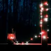 4 Pack Red and White Christmas String Lights, Each 20FT 60 LED Fairy Lights Battery Operated with Timer, Waterproof Twinkle Lights for