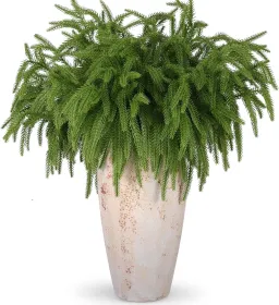 12 Pcs Artificial Norfolk Pine Branches, Norfolk Pine Artificial Pine Stems DIY Crafts Faux Christmas Greenary Norfolk Pine Branches for