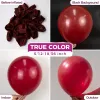 Burgundy Balloons Latex Party Balloons - 100 Pack 12 inch Round Helium Dark Ruby Retro Wine Red Maroon Balloons for Thanksgiving New Years