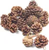 Hanging Natural Pine Cones, Rustic Pinecones Crafts with String Fall Garland Decor Christmas Tree Ornaments Winter Vase Filler
