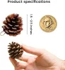 Hanging Natural Pine Cones, Rustic Pinecones Crafts with String Fall Garland Decor Christmas Tree Ornaments Winter Vase Filler