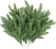 50 Pcs Artificial Pine Branches Green Plants Pine Needles DIY Accessories for Garland Wreath Christmas and Home Garden Decor (50, Green)