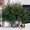 15 PCS Norfolk Pine Stems with Red Berries Branches,19 Inch Christmas Real Touch Artificial DIY Pine Needles,Faux Cedar Pines Greenery