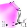 Grow Light