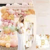 Little Pumpkin Shower Decorations Party Supplies for Girl, Rustic Fall Autumn Baby Shower Decoration, A Little Pumpkin is on The Way