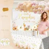 Little Pumpkin Shower Decorations Party Supplies for Girl, Rustic Fall Autumn Baby Shower Decoration, A Little Pumpkin is on The Way