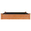 Garden Raised Bed with Liner Brown 47.2"x47.2"x9.8" Solid Wood Fir