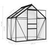 Greenhouse Anthracite Aluminum 26.6 ft¬≤