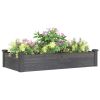 Garden Raised Bed with Liner Gray 47.2"x23.6"x9.8" Solid Wood Fir